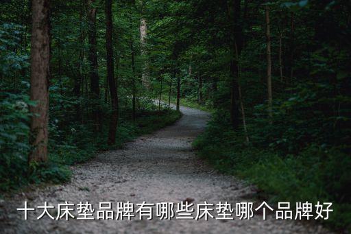 十大床垫品牌有哪些床垫哪个品牌好