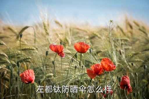 左都钛防晒伞怎么样