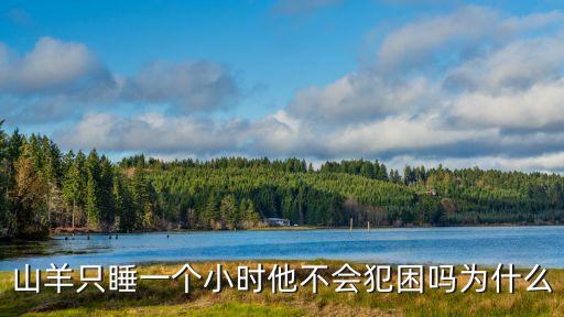 山羊如何睡觉,山羊只睡一小时不会犯困!
