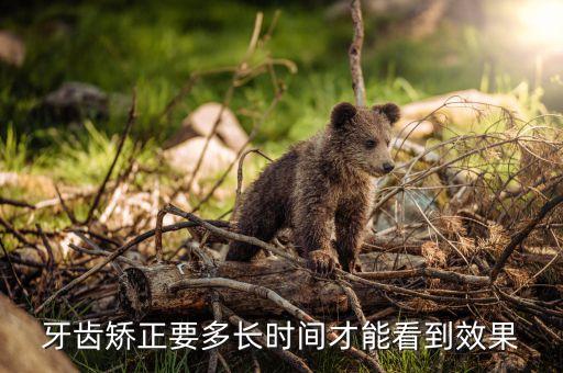 牙齿矫正要多长时间才能看到效果