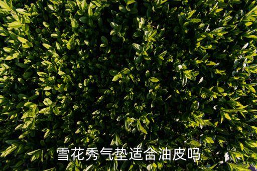 雪花秀气垫bb适合什么年龄段,韩国雪花秀护肤品适合什么年龄段？
