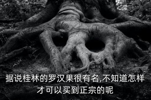 据说桂林的罗汉果很有名,不知道怎样才可以买到正宗的呢
