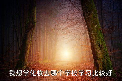 哪里学化妆纹绣好,学纹身好还是学化妆好？
