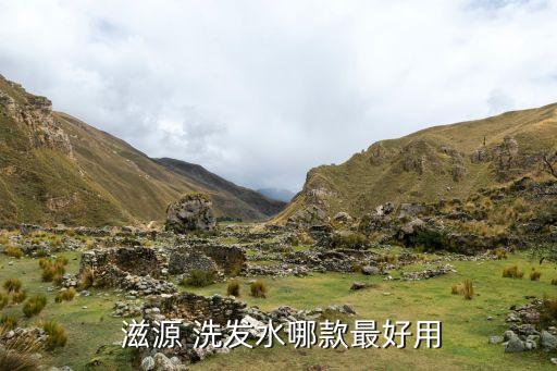 滋源 洗发水哪款最好用