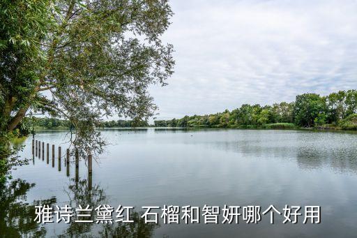 红石榴面霜怎么样,雅诗兰黛红石榴面霜