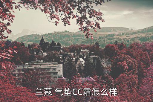 兰蔻 气垫CC霜怎么样