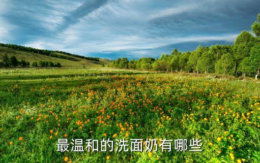 最温和的洗面奶有哪些