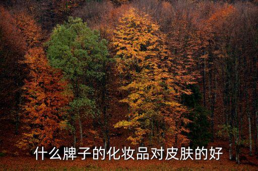 什么牌子的化妆品对皮肤的好