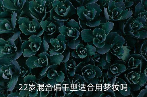 22岁混合偏干型适合用梦妆吗