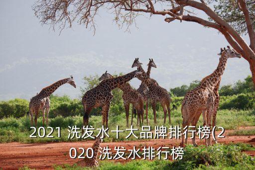2021 洗发水十大品牌排行榜(2020 洗发水排行榜