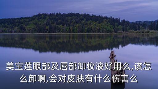 美宝莲卸妆哪个好,卸妆水品牌琳琅满目哪个好?