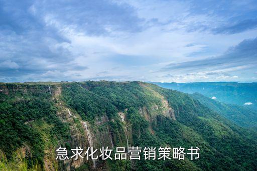 急求化妆品营销策略书