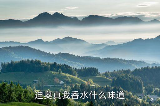 迪奥真我香水什么味道