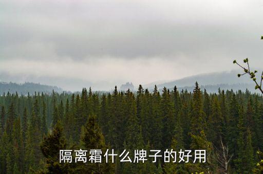  隔离霜什么牌子的好用