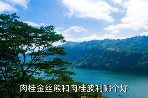 肉桂金丝熊和肉桂波利哪个好