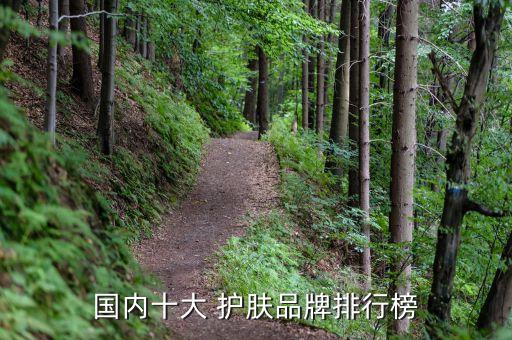 国内十大 护肤品牌排行榜