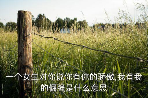 聚美301是什么,301材质是什么材质
