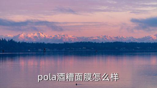 pola酒糟面膜怎么样