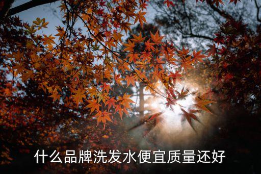 什么品牌洗发水便宜质量还好