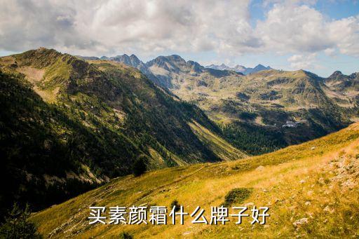 买素颜霜什么牌子好