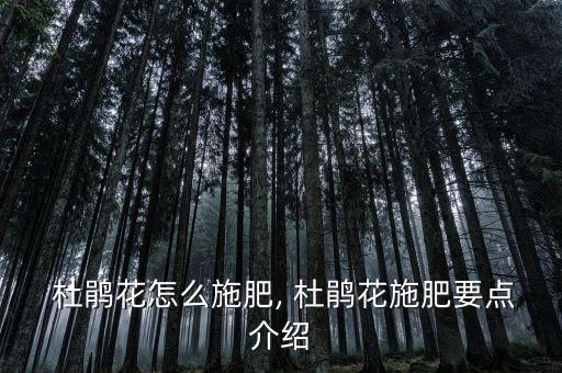 杜鹃花原液多久用一次