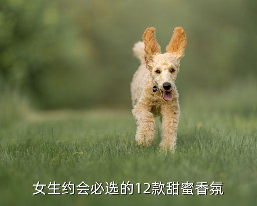 touch是什么香水,巴宝莉香水历史orbluetouch是什么香水?