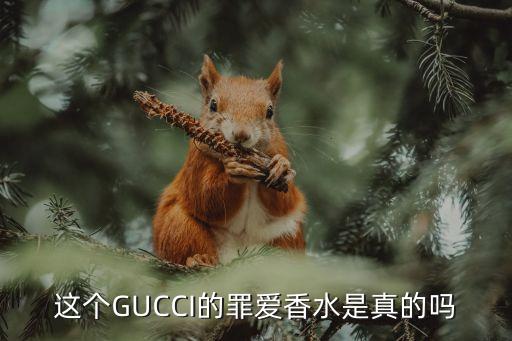 罪爱女士淡香水多少钱gucci专柜价,如何辨别古驰罪爱香水的真假?