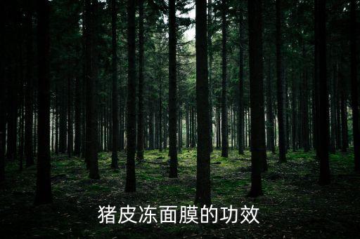 猪皮冻面膜的功效