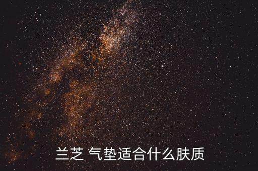  兰芝 气垫适合什么肤质