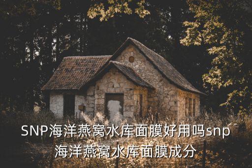 SNP海洋燕窝水库面膜好用吗snp海洋燕窝水库面膜成分
