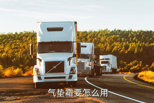 雪花秀气垫21适合什么肤色