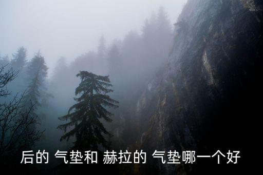 后的 气垫和 赫拉的 气垫哪一个好