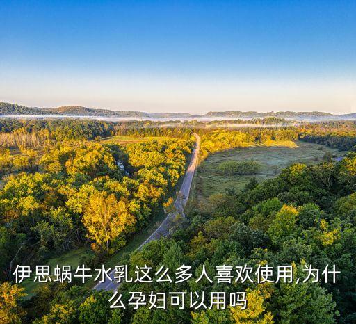 伊思蜗牛水乳这么多人喜欢使用,为什么孕妇可以用吗