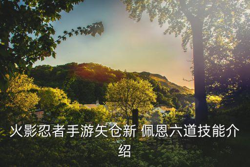 火影忍者手游矢仓新 佩恩六道技能介绍