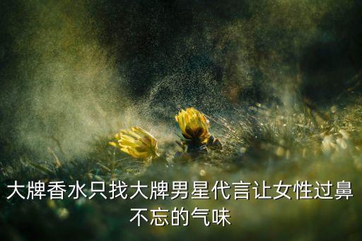 迪奥homme香水如何,什么牌子的男士香水好？