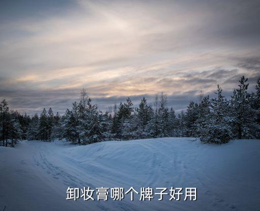  卸妆膏哪个牌子好用