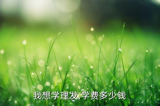 美发学校大概多少钱,学美发要多少钱?一般学费多少?