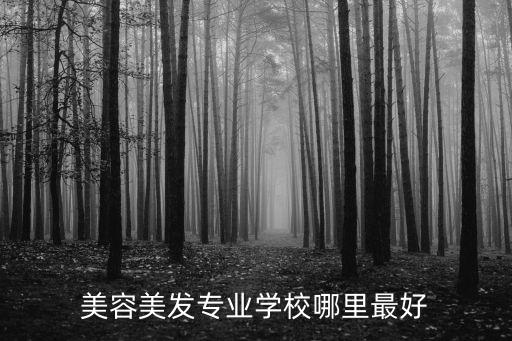 美容美发专业学校哪里最好