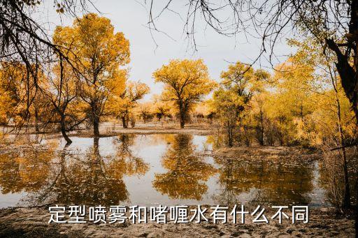 定型喷雾和啫喱水有什么不同