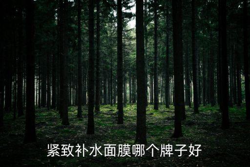 紧致补水面膜哪个牌子好