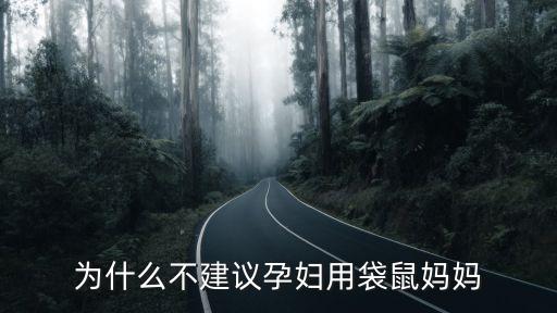 为什么不建议孕妇用袋鼠妈妈
