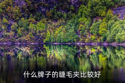 什么牌子的睫毛夹比较好