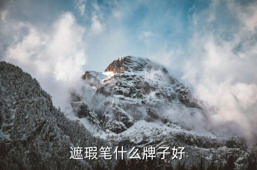 蕾珂美是哪里的,什么牌子的遮瑕膏好