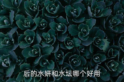 后的水妍和水坛哪个好用