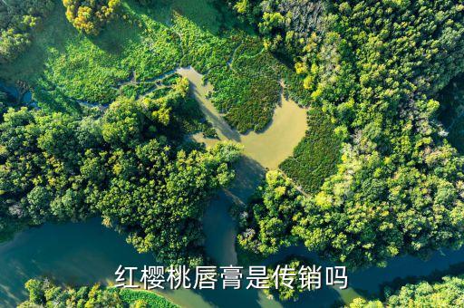仙宝丽传奇今生是哪个公司的,传奇今生和仙宝丽哪个好