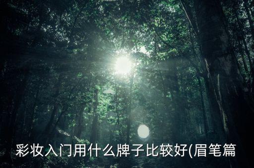 彩妆入门用什么牌子比较好(眉笔篇