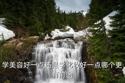 学美容好一点还是学化妆好一点哪个更有前途