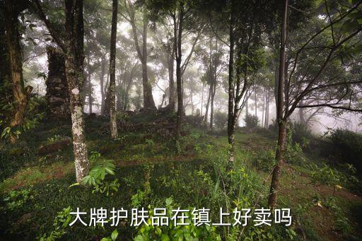 大牌护肤品在镇上好卖吗