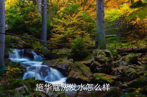 施华蔻沙龙怎么样,中国十大洗发水