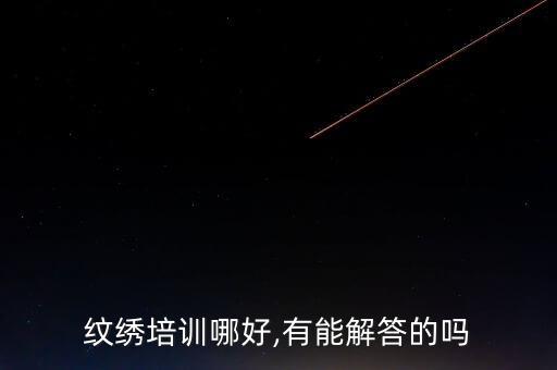 纹绣培训哪好,有能解答的吗